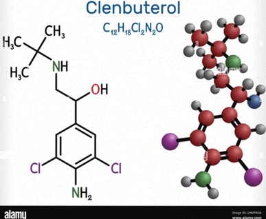 clenbuterolo