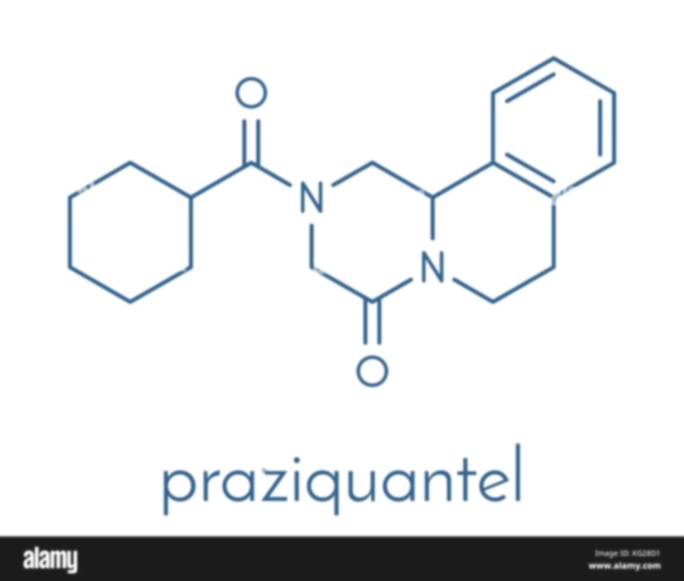 praziquantel