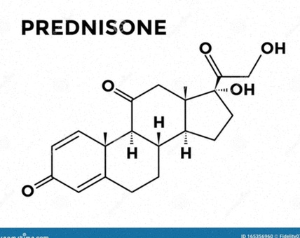 prednisone